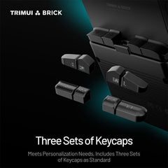 TRIMUI BRICK 3.2-inch Retro Handheld Game Console